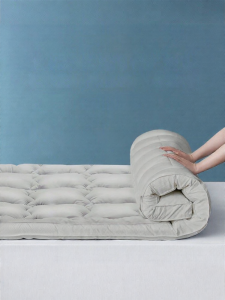 FUANNA (富安娜) | Student Dormitory Special Use Thickening Single Pad