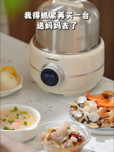 BLAUPUNKT Electric Steamer Multifunctional Household Double-Layer Small Steaming Stew Integrated Pot Steamer Breakfast Machine