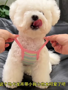áo 2 dây cún viền hồng dành cho chó mèo - T3 PETS SHOP