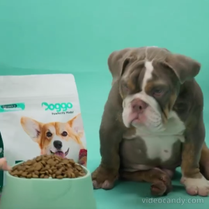 10kg Doggo Beef Lamb Packed Dog Dogs Dry Food All Stages Adult Puppy Pet Nutrition Healthy Meal