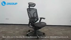 Ergonomic Office Chair with Headrest Butterfly Comfort Computer Full Mesh Office Furniture Office Room Modern PU Castors
