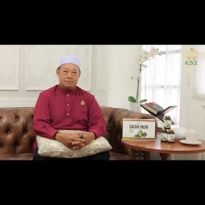 正品保证 现货~100% Original ✨GO NATURE SACHA INCHI : SOFTGEL PAKEJ 3 免费 1 BOTOL - Go Nature Malaysia EXP 2025