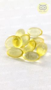 KICAU MART Vitamin Fish Oil Isi 10 Pil Minyak Ikan Pelebat Bulu Jaga Imun Hewan Burung Ternak Ayam Unggas Vitamin Omega Bulu Kucing Anjing Kelinci Hamster Sugar Glider