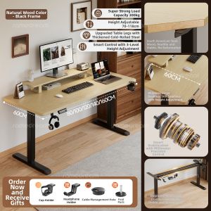 SAMEDREAM | Electric Lifting Desk for Home Computer and E-sports Work Study