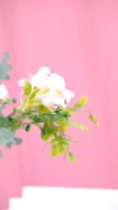 Animate Moisturizer Gel 10gr Salmon DNA Glowing Gel Series /DNA Salmon