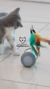 Robotic Cat Toy | Interactive Cat Toy with Ball Feathers | Electric cat toys with sound