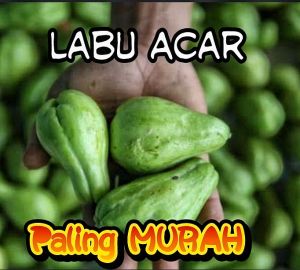 LABU ACAR / Labu Siam / Waluh Siem MURAH DAN FRESH 1 KG