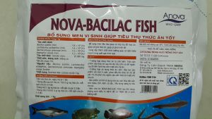 MEN TIÊU HÓA GIÚP TIÊU HÓA TỐT THỨC ĂN MAU LỚN NGỪA BỆNH CHO CÁ. Bacilac Fish Gói 1kg