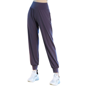 Quần Thể Thao Nữ Cạp Cao Nhanh Khô Mùa Hè Mỏng Rộng Rãi Nâng Hông Giảm Béo Tập Luyện Chuyên Nghiệp Ngoài Trời Chạy Bộ