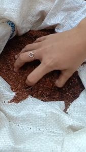 Media tanam cocopeat siap pakai kemasan 1 kg