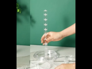 2-Tier Earring Shelf Holder Jewelry Display Stand Earrings Hair Ring Rack