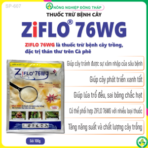 Thuốc Trừ Bệnh Cây ZIFLO 76 WG Kẽm Zn 2+ – Trừ Thán Thư (Gói 100g)