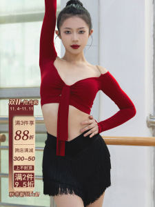 DZ Latin Dance Skirt Womens Adult New Encryption Tassel Half-length Short Skirt Dance Advanced Practice Suit with Underwear
