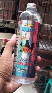 Magic Water Nob Larutan Ion Minuman Burung juara cairan penggacor seketika