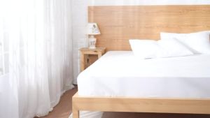 [#HOT] Cotton White Hotel Bedsheet Quilt Cover Comforter Pillowcase Bolster Case Flat Bedsheet | Fitted Bedsheet