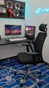 WISDOM A24 Ergonomic Home Office Chairs  Computer Gaming Chair with 2D Adjustable Headrest & Breathable Seat | 200kg Load-Bearing | 3-Year Warranty