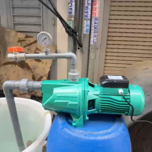 Máy bơm nước con lợn 1.1Kw (1.5HP) Cánh Đồng Taifu TJSW/15M - Máy bơm nước đầu lợn bán chân không tự mồi