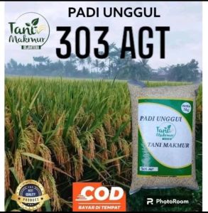BENIH PADI AGT 303 super unggul Netto 5kg