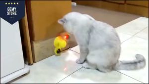 Mainan Hewan Peliharaan Kucing Windmill Gigitan Interaktif Otomatis Toy Cat Ball Teeth