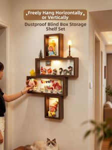 ARTPIONEER | Dust-Proof No-Drill Display Rack for Blind Boxes
