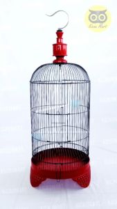 KICAU MART KHUSUS 3 JAM SAMPAI INSTAN GRAB GOJEK Sangkar Burung Lovebird Sangkar Kandang Motif Bintang Fullset Tangkringan Cepuk Klem Pion Gantungan Tebok Sangkar Besi Tebal Anti Patah Sangkar Kapsul Oval Burung Love Bird Lb