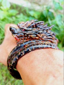 Gelang Akar bahar naga