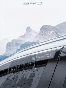 HANNENGDA | Rain Deflector Car Window Trim for BYD Seal DMi