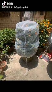 ถุงตาข่ายกันแมลงเชือกรูด ถุงตาข่ายกันแมลงดอกไม้และผลไม้ ตาข่ายกันนก ตาข่ายคลุมต้นไม้