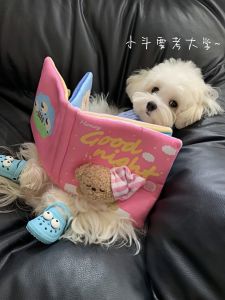 Dog Toy Hide Food Scented Book Interactive Chew Proof Self Entertaining Boredom Buster Intelligent Pet Supplies