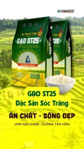 Gạo ST25 Ngon nhất thế giới năm 2023 Vinaseed túi 5kg - Dẻo thơm giàu dinh dưỡng