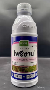 เจียไต๋ ไพรีซาน ขนาด 1 ลิตร คาร์เบนดาซิม 50% W/V SC คาเบนดาซิม กำจัด โรคใบไหม้ กาบใบแห้ง ใบจุด ราแป้ง แอนแทรคโนส ราสนิม ใบติด ราดำ ออกฤทธิ์แบบดูดซึม npkplant