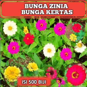 BENIH BIJI BIBIT ZINIA MIXED TANAMAN REFUGIA BUNGA KERTAS