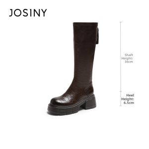 Josiny | Winter Thick Heel New Style Fur Lined Tall Boots
