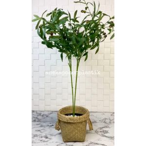 Pohon Artificial Zaitun Tangkai X2 Pot Dasar Hitam Cover Anyaman Purun Handle Dekorasi Ruangan
