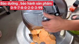 Máy thái lát nghệ  riềng đu đủ muối