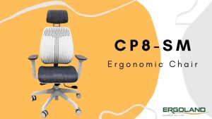 Ergoland CP8SM Ergonomic Chair
