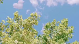 Matari Mini Fan 10000mAh Type-c High Speed Turbo Handheld Fan Mini Portable Rechargeable Extra Long Life