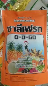 ปู่เกร็ด 0-0-60 ชนิดเกร็ดผง ละลายน้ำได้ดี พืชไร่ พืชหัว ข้าว