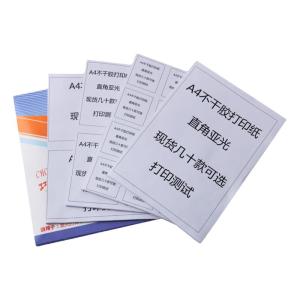 Nhãn Dán Không Khô A4 Giấy in Laser Inkjet Giấy Dán Nhãn Mặt Phẳng Mờ Giấy Dán Nhãn Trắng Không Khô PIPAPA NF21