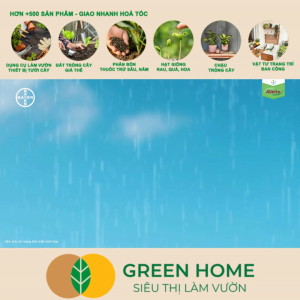 Chế Phẩm Trừ Bệnh Aliette 800WG GreenHome Gói 100gr Đặc Trị Thối Rễ Lở Cổ Rễ Xì Mủ Cho Cây Trồng