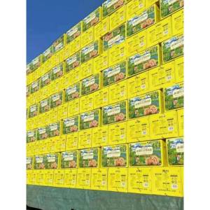 New Grass Root Taste Roasted Walnuts Thin Shell 185 Matures Walnuts in Premium Paper Box Xinjiang Uygur Autonomous Region Snacks