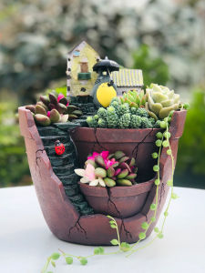 Novelty Creative Hanging Garden Succulent Platter Birthday Gift Office Desk Surface Panel Decoration Retro Style New Arrival Flower Pot