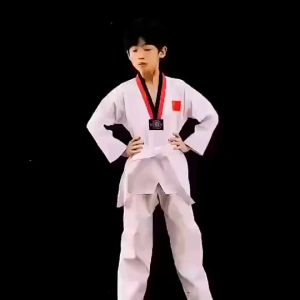 Professional Taekwondo Uniforms & Karate Suit Dobok Clothes