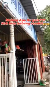 Mainan Burung Elang Terbang Mainan Anak Lucu 2538B - Bisa Nyala Ada Lampu Di Bagian Mata Pakai Baterai Biasa | Burung Gantung Ukuran Sedang Bisa Terbang Murah Dan Bagus