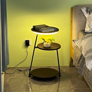 HOWNICE | Wireless Charging Design Floor Lamp Decorative Shelf Light