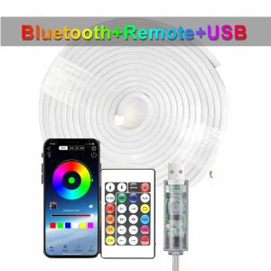 5V RGB Neon Strip Light 1M 2M 3M 5M USB Waterproof Flexible Ribbon Tape Neon Lights with Bluetooth Remote Control for Home Decor