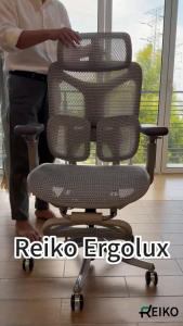 Reiko Ergolux with Pedal Ergonomic Chair Full Mesh 5 Years Warranty Office Chair Adjustable Lumbar Chair Sihoo Chair