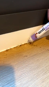 เจลกำจัดมด antiant แอนตี้แอนท์