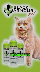 100ml Black Armour Pet Immune Booster All Stages Adult Kitten Puppy Pet Essentials Supplements