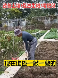 1KG Soil Conditioner&Soil Loosening Agent Soils Looseness Adjust And Increase Fertility Used To Gardening Soils/Trees/Vegetables Cultivation